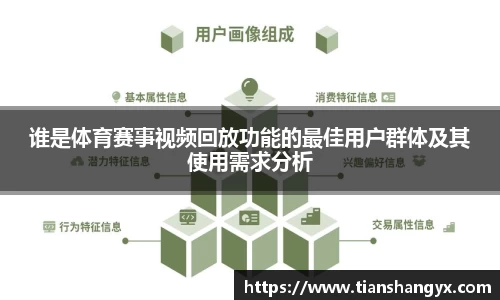 谁是体育赛事视频回放功能的最佳用户群体及其使用需求分析